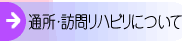 �ʏ��E�K�⃊�n�r���ɂ���