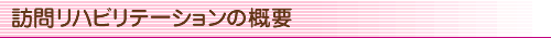 �K�⃊�n�r���e�[�V�����̊T�v